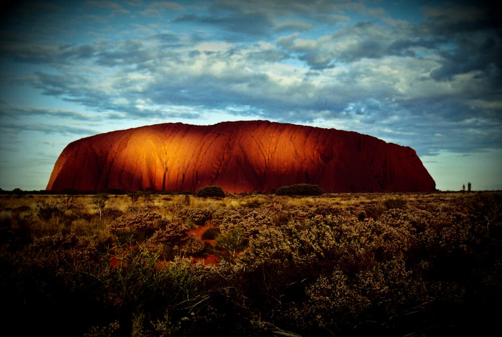 Uluru at dusk on the horizon, seen across red desert vegetation in the Northern Territory.